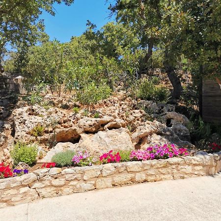 Villa Ermis - The Cretan Castello Kástellos Exteriör bild