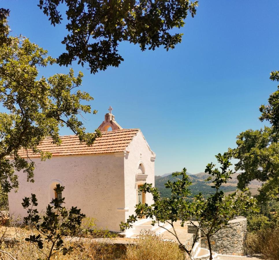 Villa Ermis - The Cretan Castello Kástellos Exteriör bild