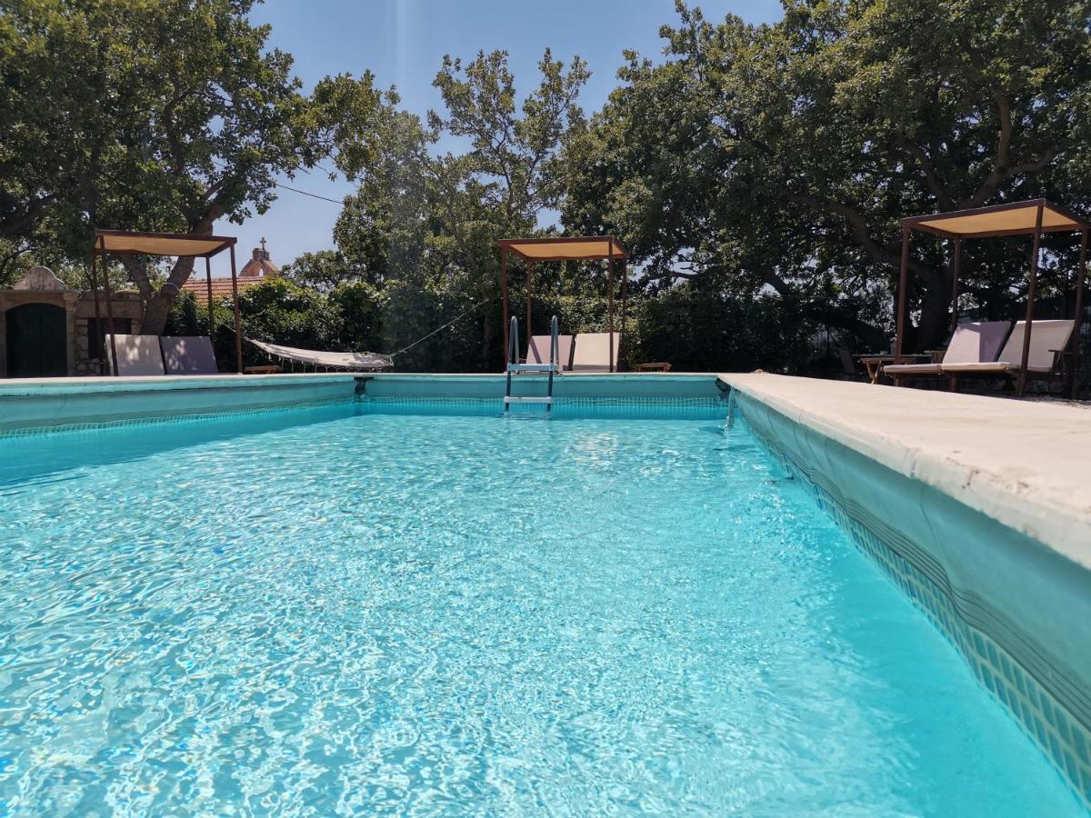 Villa Ermis - The Cretan Castello Kástellos Exteriör bild