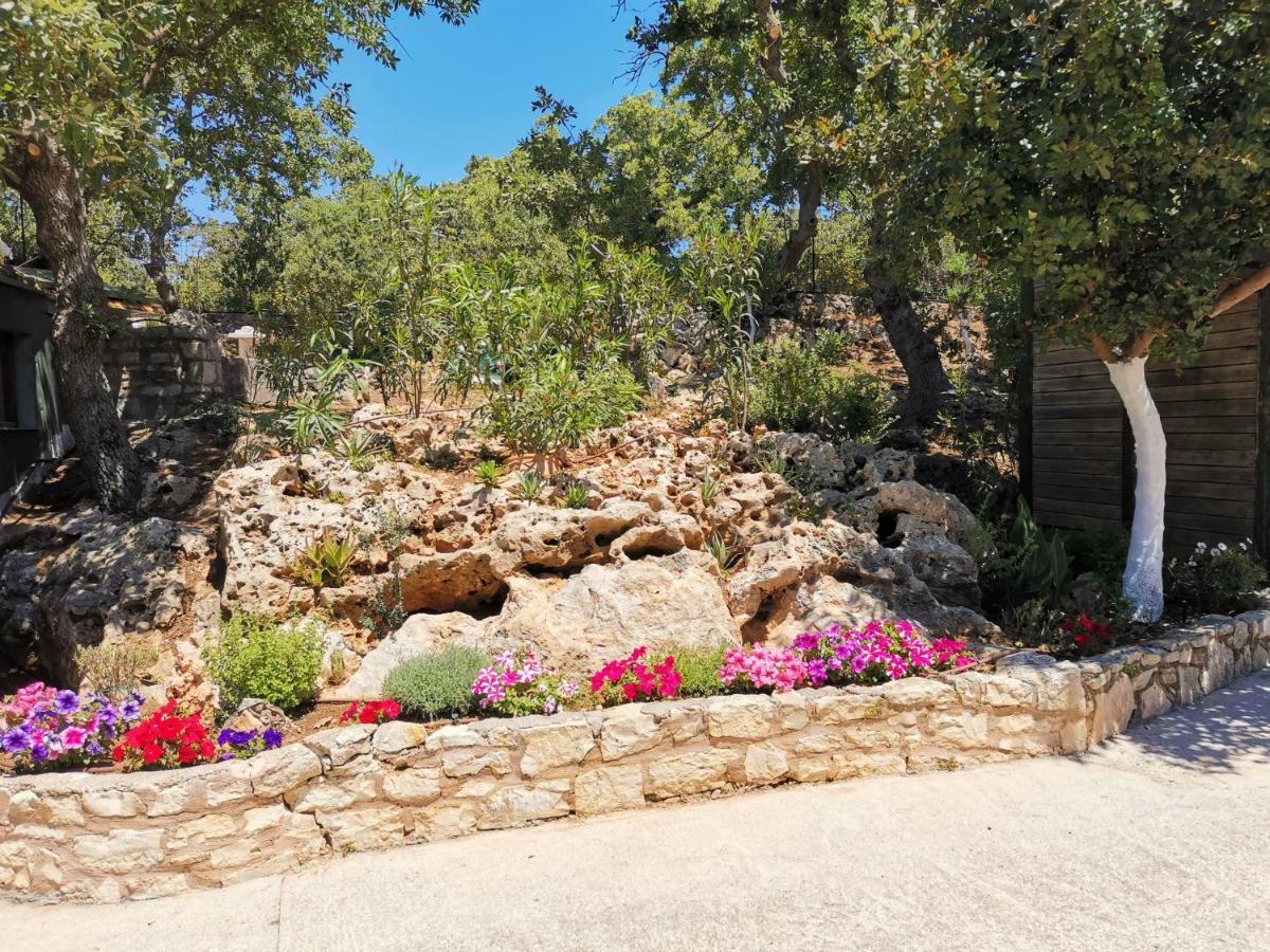 Villa Ermis - The Cretan Castello Kástellos Exteriör bild